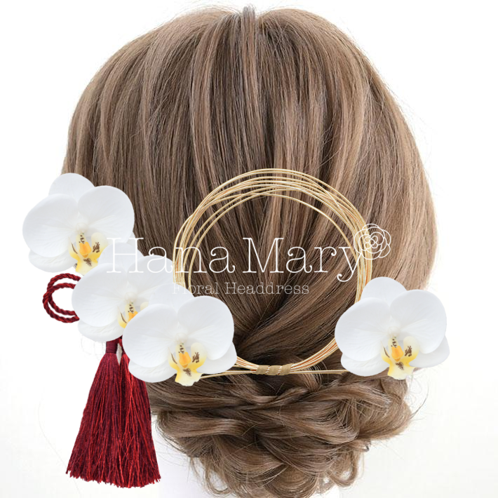 胡蝶蘭と水引き