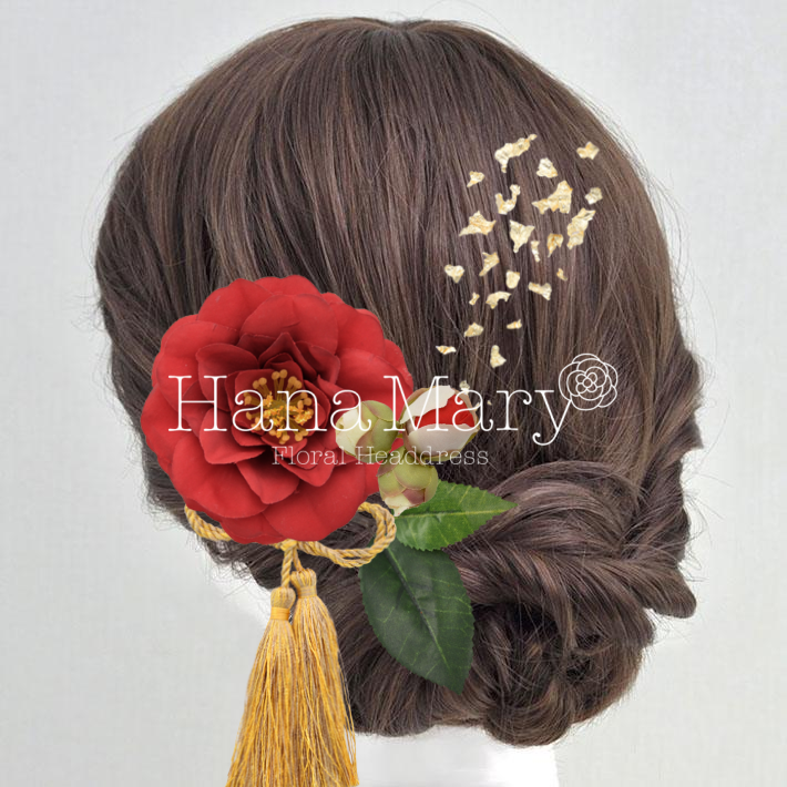 紅椿