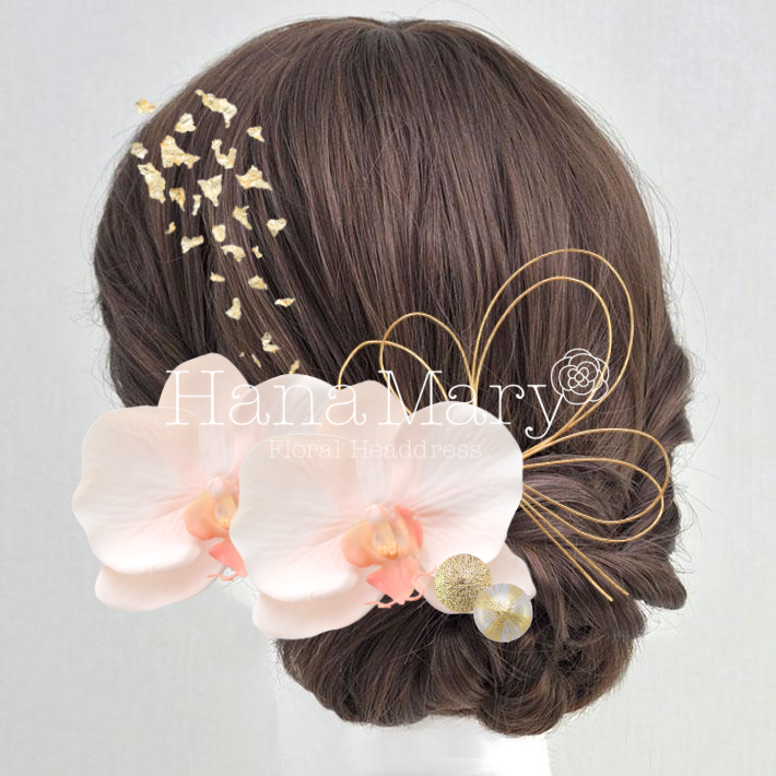 おっきいこちょうらん