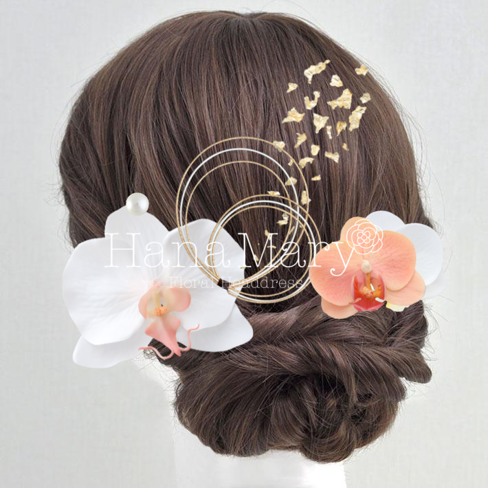 胡蝶蘭シンプル