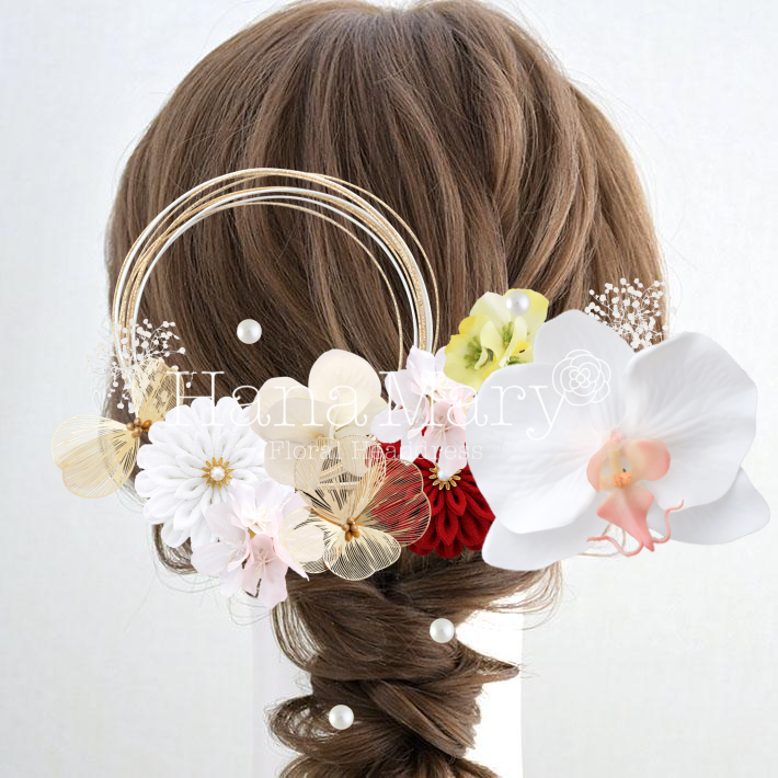 胡蝶蘭と桜