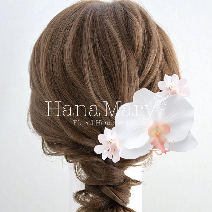 胡蝶蘭と桜