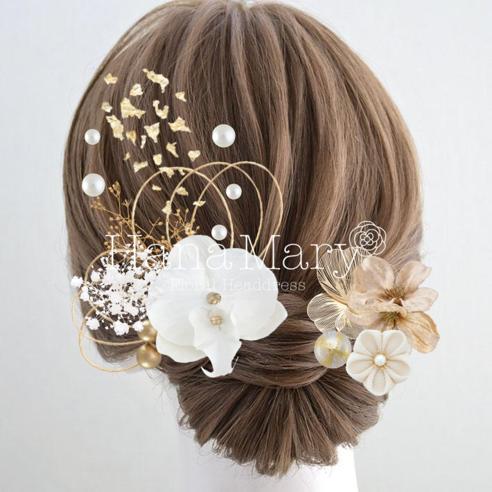 胡蝶蘭ゴールド