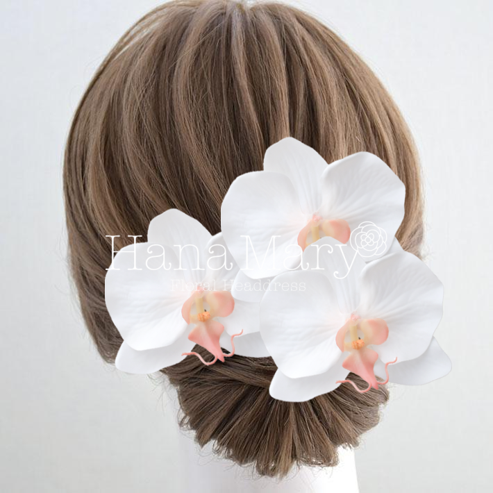 可憐なピンクの胡蝶蘭