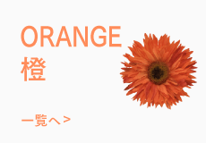 色で選ぶオレンジ色の髪飾り